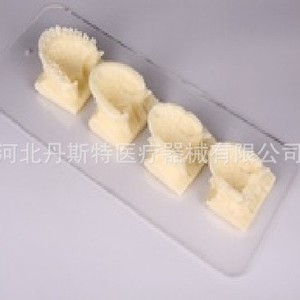 Modèle dentaire Dt, modèle anatomique en silicone médical pour le développement osseux maxillaire et mandibulaire, pour l'éducation à la cavité buccale - Product Image 1