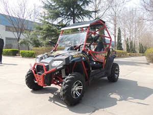 Vente directe d'usine Buggy 4x2 UTV 2x4 Quad à essence 250 EEC de vente Moteur de moto 4 temps 250cc UTV - Product Image 2