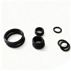 Junta Tórica de FKM de Alta Presión 20MPa - Sello Resistente al Desgaste y al Calor para la Industria de Equipos de Perforación de Petróleo y Gas, Hecho en China - Product Image 1