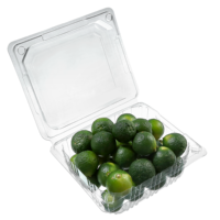 Rechthoek Wegwerp Pet Clear Fruit Groente Verpakking Plastic Transparante Aardbei/Groene Datum/Longan Take Out Container