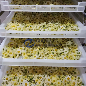 ห้องอบแห้งดอกไม้ระบบความถี่แปรผัน สำหรับแปรรูปชาดอกไม้ ห้องอบแห้งดอกกุหลาบอัจฉริยะคุณภาพสูง - Product Image 2