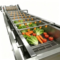 Industriële groentebellenwasmachine voor het reinigen van fruit en groenten