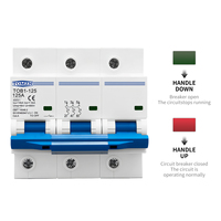 RAIL DIN TOMZN 3P AC MCB TOB1-125 400V ~ 50/60Hz Disjoncteur 80/100/125A Commutateur de déconnexion à courant élevé 10kA PA66 triphasé
