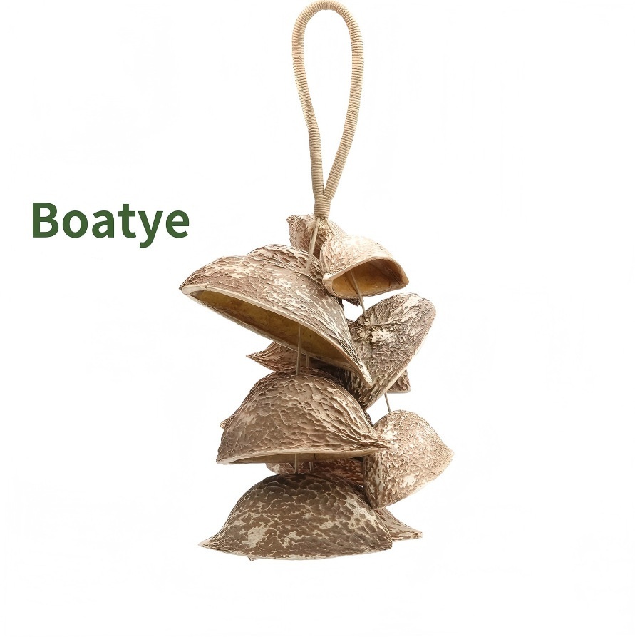 Boatye 12 coquilles
