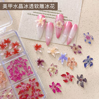 12 Grid Bunga Besar Warna-warni Campuran untuk Dekorasi Kuku DIY, Bunga Resin untuk Salon Kecantikan