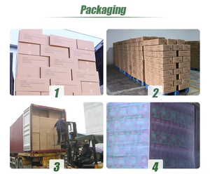 Châtaignes fraîches faciles à peler, châtaignes fraîches biologiques <span class=keywords><strong>de</strong></span> qualité supérieure, châtaignes fraîches biologiques sucrées - Product Image 6