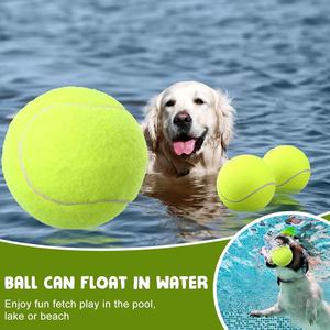 <span class=keywords><strong>Lanceur</strong></span> <span class=keywords><strong>de</strong></span> balle <span class=keywords><strong>de</strong></span> tennis <span class=keywords><strong>automatique</strong></span> pour chien <span class=keywords><strong>de</strong></span> luxe jouets électriques pour chien <span class=keywords><strong>lanceur</strong></span> <span class=keywords><strong>de</strong></span> balle <span class=keywords><strong>de</strong></span> chiot intelligent pour chiens <span class=keywords><strong>de</strong></span> petite à moyenne taille - Product Image 4
