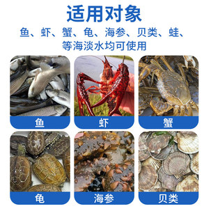 Solution bactérienne Okinawa Love Em, durée de conservation de 24 mois, pour la purification de l'eau des étangs à poissons et de l'aquaculture - Product Image 3