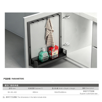 Panier de rangement coulissant pour porte d'armoire, organisateur télescopique à fixer sur porte pour quincaillerie d'armoires de cuisine et de salle de bain