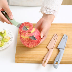 Couteau à fruits de style nordique, éplucheur en acier inoxydable, lame de 2.5 Cm, portable, pour fruits et légumes, usage domestique - Product Image 1