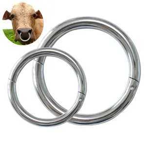 Beautiful Bull Nose Rings For Good Accessories - Alibaba.com