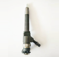 Inyector Common Rail 0445110293 0445110293
