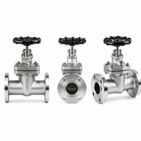 Vanne à opercule à bride en acier inoxydable LUOKEFM Z41H CF8 Classe 150 avec joint PTFE vierge - Plage de température industrielle de -29 à 425 °C