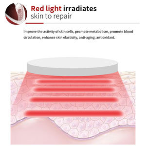 Directo de fábrica Bio Máquina facial Estiramiento facial Adelgazamiento en forma de V Dispositivo facial de elevación Tecnología de microcorriente Belleza del cuello de la piel - Product Image 4