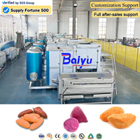 Baiyu industriële stoomschilmachine voor de productielijn van ingeblikte groenten met automatische schilverwijdering