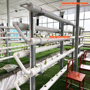 Invernaderos Acuapónicos Comerciales Usados de Gran Tamaño y de Una Sola Vía con Película de PE para Estanques de Peces y Producción de Vegetales - Product Image 2