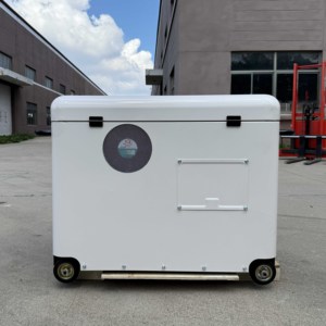 Generatore Silenzioso a Doppio Carburante SLONG BRAND 50HZ 220V Monofase 8KW per Uso Domestico con Avviamento Automatico Motore a 4 Tempi Presa ATS - Product Image 3
