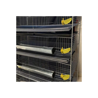 Utilisation optimale de l'espace Type de maison Cage à caille Type H Équipement d'élevage de volaille