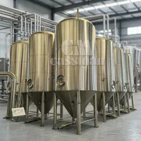Cuve de Fermentation en Acier Inoxydable pour la Production de Vin Rouge 5000L – Équipement de Production Industrielle