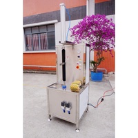 Industriële meloen-, pompoen-, watermeloen-, mango- en ananas-schilmachine, groente- en fruitverwerkingsmachine