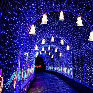Commercial LED Christmas Tunnel Lighting for Holiday Landscape - Product Image 1