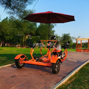 Vélo à assistance électrique monovitesse pour fêtes, visites de brasseries et excursions publiques - Product Image 1