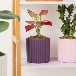 Nordic semplice cemento vaso di fiori <span class=keywords><strong>grande</strong></span> vaso di fiori gres retro balcone cortile ornamento per interni arredamento - Product Image 2