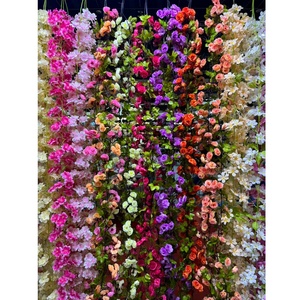 Pergolas grimpantes, fleurs noires, vigne bleue, rose campagne, rouge, Rosa Schizophragma, ombrage, glycine Jeanne et roses - Product Image 1