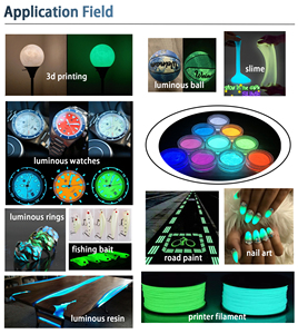 Đầy màu sắc phát quang sắc tố sáng phát sáng bột Sáng sắc tố cho sơn - Product Image 5