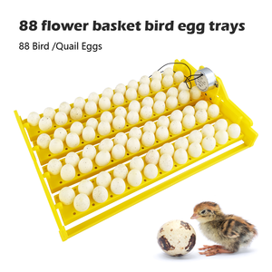 Incubateur automatique pour œufs de poulet, unités, plateau, éliminateur d'œufs pour petits oiseaux - Product Image 2