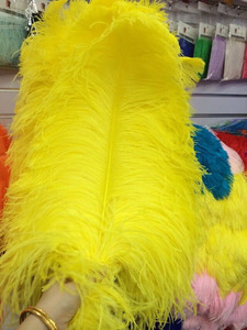 70-75 Cm Hot Bán Thanh Mỏng Tự Nhiên Tẩy Trắng Lông Đà Điểu Lớn Số Lượng Lớn Đà Điểu Bộ Lông Cho Đám Cưới Đảng Trang Trí - Product Image 5