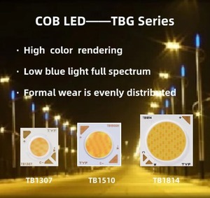 TBG loạt 12W 36V công suất cao COB dẫn đèn 1307 bi-màu Trắng ấm & mát trắng - Product Image 4