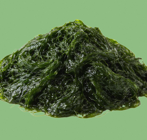 สารสกัดจากพืช TW Maesaengi PDRN 10ppm วัตถุดิบเครื่องสำอาง โพลีนิวคลีโอไทด์จากสาหร่ายขนาดเล็ก สำหรับผิวต่อต้านริ้วรอย - Product Image 1