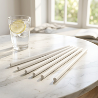 Pailles rétractables colorées en plastique pour fêtes, décorations amusantes pour boissons