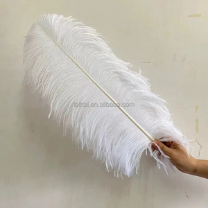 Hot Bán Nhân Tạo Đà Điểu Lông Tự Nhiên Màu Đen Số Lượng Lớn Đà Điểu Lông Trong Nguyên Bất Trắng Đà Điểu Lông - Product Image 2