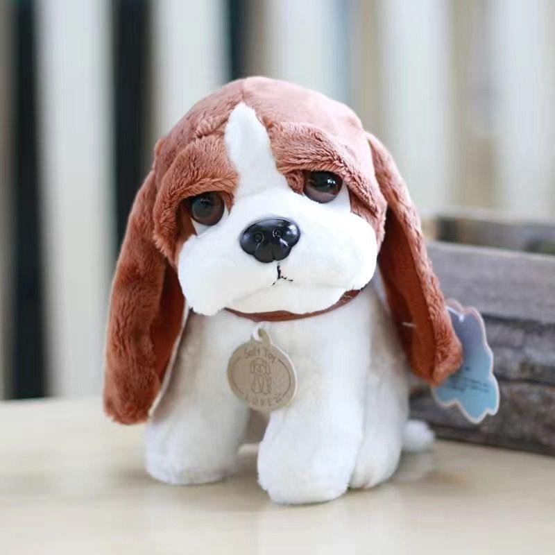 Chien de Beagle