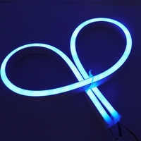 Bande lumineuse à Led avec boîtier en aluminium, adressable individuellement, 50 m, pour la croissance, avec télécommande