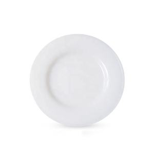 Plato de Vidrio con Aspecto de Cerámica - Product Image 1