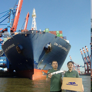 Trung Quốc gửi toàn cầu TNT <span class=keywords><strong>EMS</strong></span> UPS DHL fedex quốc tế đại lý vận chuyển hàng hóa giao nhận dịch vụ chuyển phát nhanh thể hiện - Product Image 6