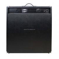 Amplificateur de basse professionnel Gooermi BS500U 250W avec haut-parleur de 15 pouces