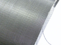 Filtre en maille métallique en acier inoxydable / maille en acier inoxydable / maille filtrante en acier inoxydable