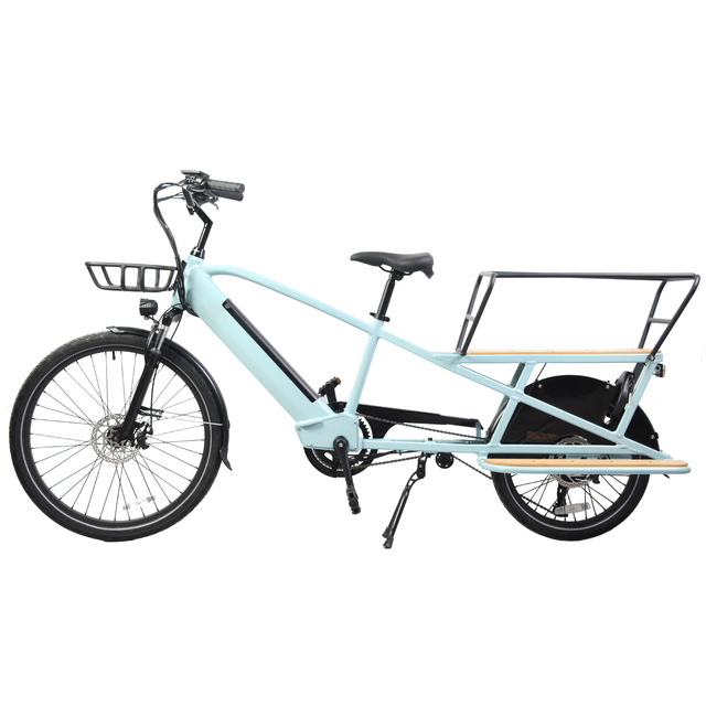 Multifunctional High Load Cargo Electric Bicycle for Market