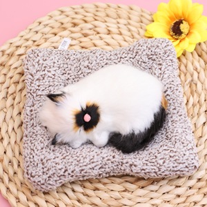 Pequeño Gato de Peluche 3D Realista, Gatito Esponjoso y Adorable, Simulación de Animal Durmiendo con Manta Suave de Carbón de Bambú, Unisex - Product Image 4