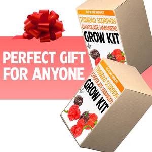 Kit <span class=keywords><strong>de</strong></span> Cultivo Hidropónico <span class=keywords><strong>de</strong></span> Cubos <span class=keywords><strong>de</strong></span> Chile Certificado por la USDA OMRI, Caja <span class=keywords><strong>de</strong></span> Papel <span class=keywords><strong>de</strong></span> Lujo Todo <span class=keywords><strong>en</strong></span> Uno, Regalo Ecológico <span class=keywords><strong>de</strong></span> Venta Caliente, Cultivo <span class=keywords><strong>de</strong></span> Pimientos <span class=keywords><strong>en</strong></span> Casa y Jardín - Product Image 3