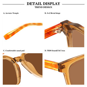 2024 fabricante Unisex gafas de sol polarizadas diseño Retro TR90 marco CP lente gafas de sol marco cuadrado gafas de sol de moda - Product Image 3