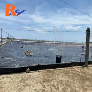 Géomembrane HDPE de 1 mm pour <span class=keywords><strong>réparation</strong></span> <span class=keywords><strong>sous</strong></span>-marine des fuites, revêtement de bassin, membrane HDPE imperméable pour barrages - Fournisseurs - Product Image 3