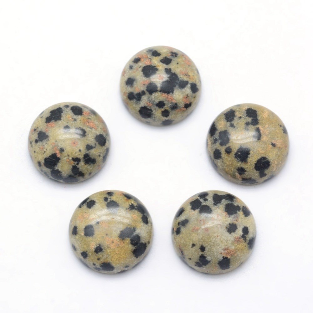 10pcs Dalmatian Jasper