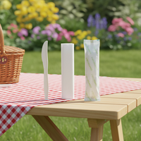 Ensemble de couverts jetables écologiques en CPLA pour la restauration américaine, idéal pour les grillades, les steaks et les événements barbecue