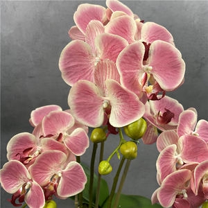 Pot de fleur orchidée dorée personnalisée, fleur artificielle orchidée en pot, tactile réel, fleur de décoration, pièces - Product Image 3