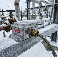 Système de câble chauffant auto-régulant de qualité arctique PrimePro (-60°C, résistant à la corrosion aux températures extrêmes, garantie 10 ans)